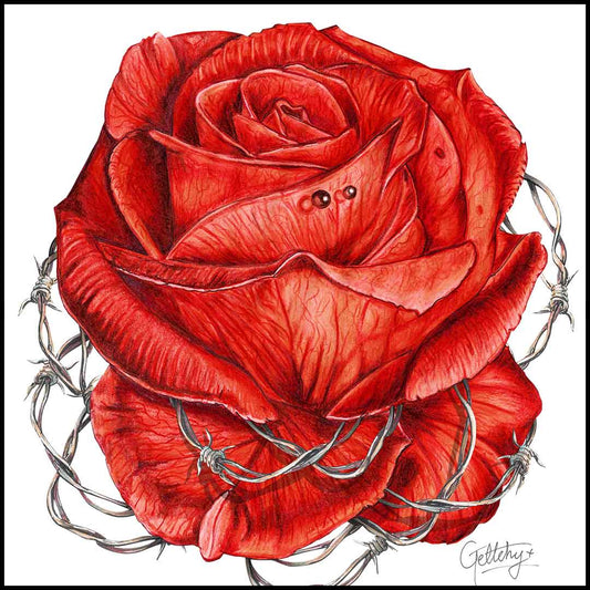 BE MY VALENTINE - Find The Perfect Gift For Your Lover!