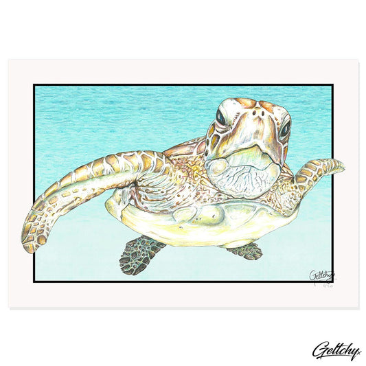 Geltchy | BLOCKHEAD Green Sea Turtle Fine Art Australian Home Decor Beach House Home Design Fine Art Framed Wall Prints Australia Illustrated Fine Art Print