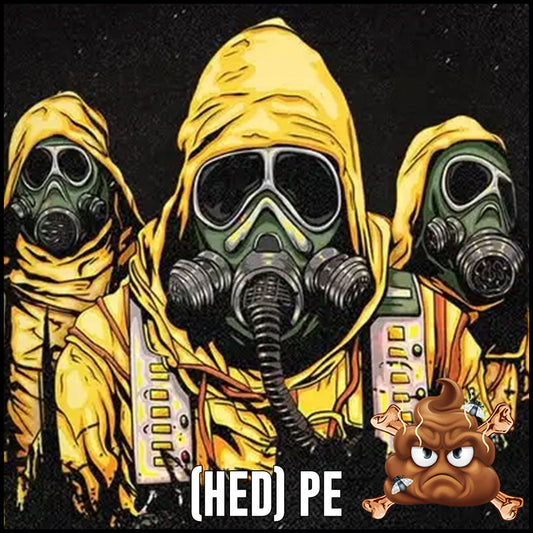 (hed)P.E. Live at The Triffid Brisbane: A Night of Nu-Metal Mayhem and Unity [Feb 2025 Review]