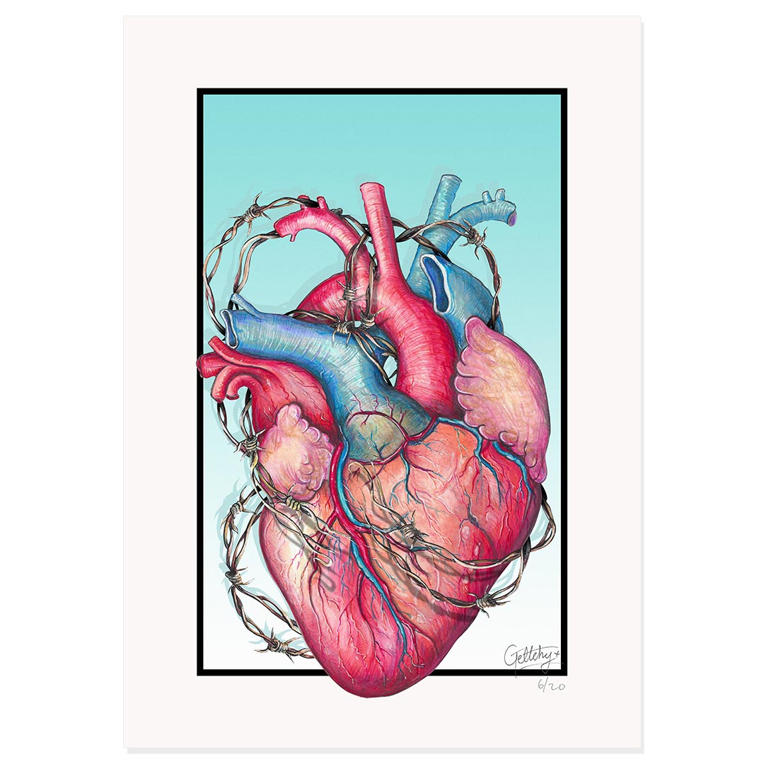 Geltchy | Anatomical Heart Realistic Tattoo Flash Inspired Hand Drawn Artwork