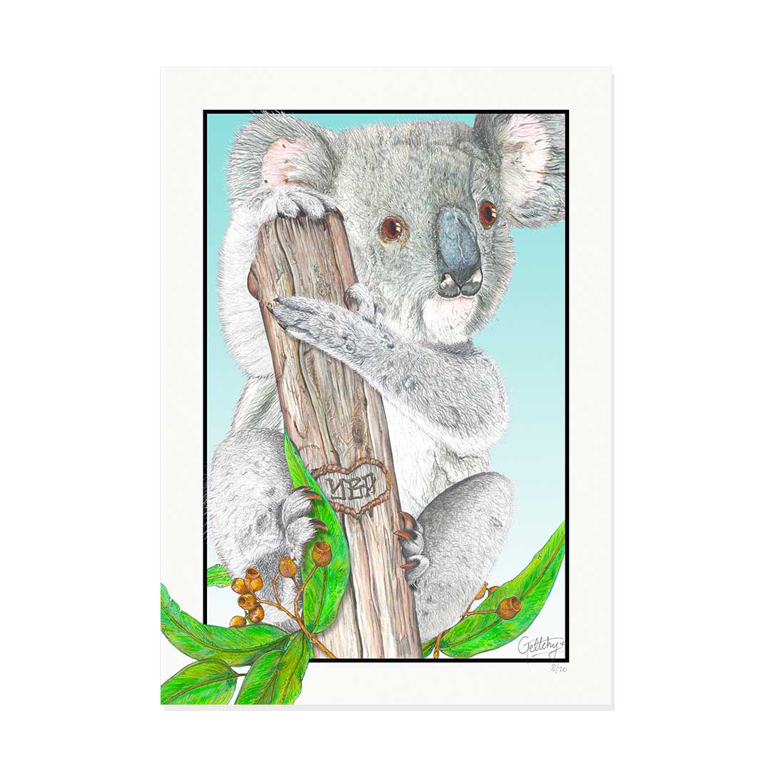 Geltchy | Home and Decor Native Animal Illustrated Wall Art Australia Koala Print