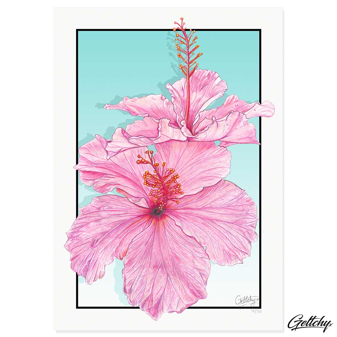 Geltchy | HIBISCUS Pink Tropical Flower Floral Home Design Fine Art Illustrated Wall Art Prints Australia