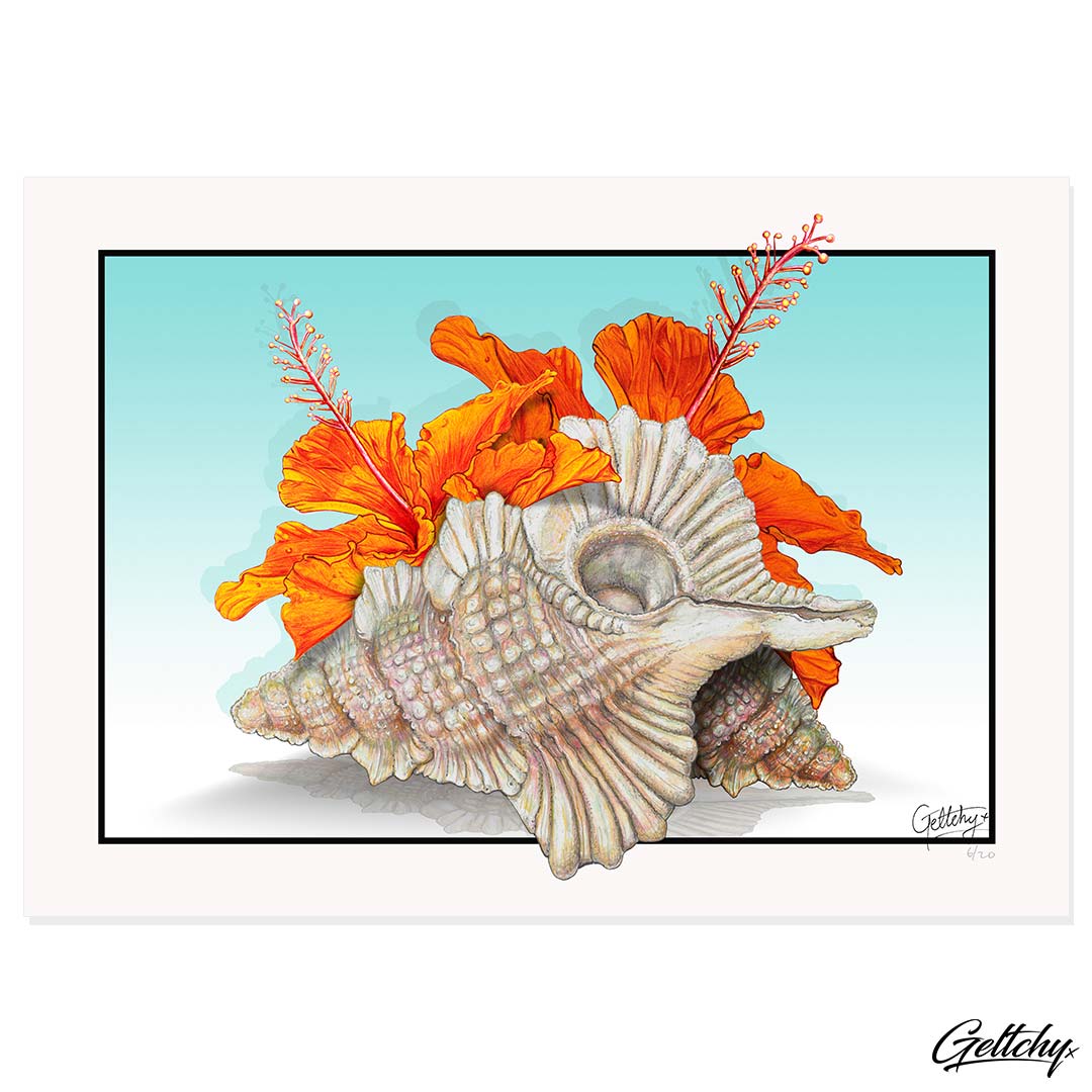 Geltchy | PARADISE Hibiscus and Seashell Illustrated Fine Art Prints Home Decor Australia
