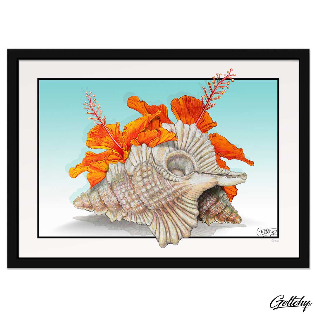 Geltchy | PARADISE Hibiscus and Seashell Illustration Prints Framed Art Home Decor Australia