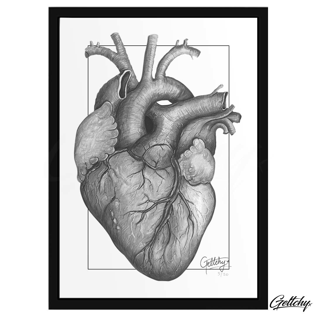 Geltchy | SWEETHEART Flash Tattoo Anatomical Heart Framed Illustration Fine Art Prints For Sale