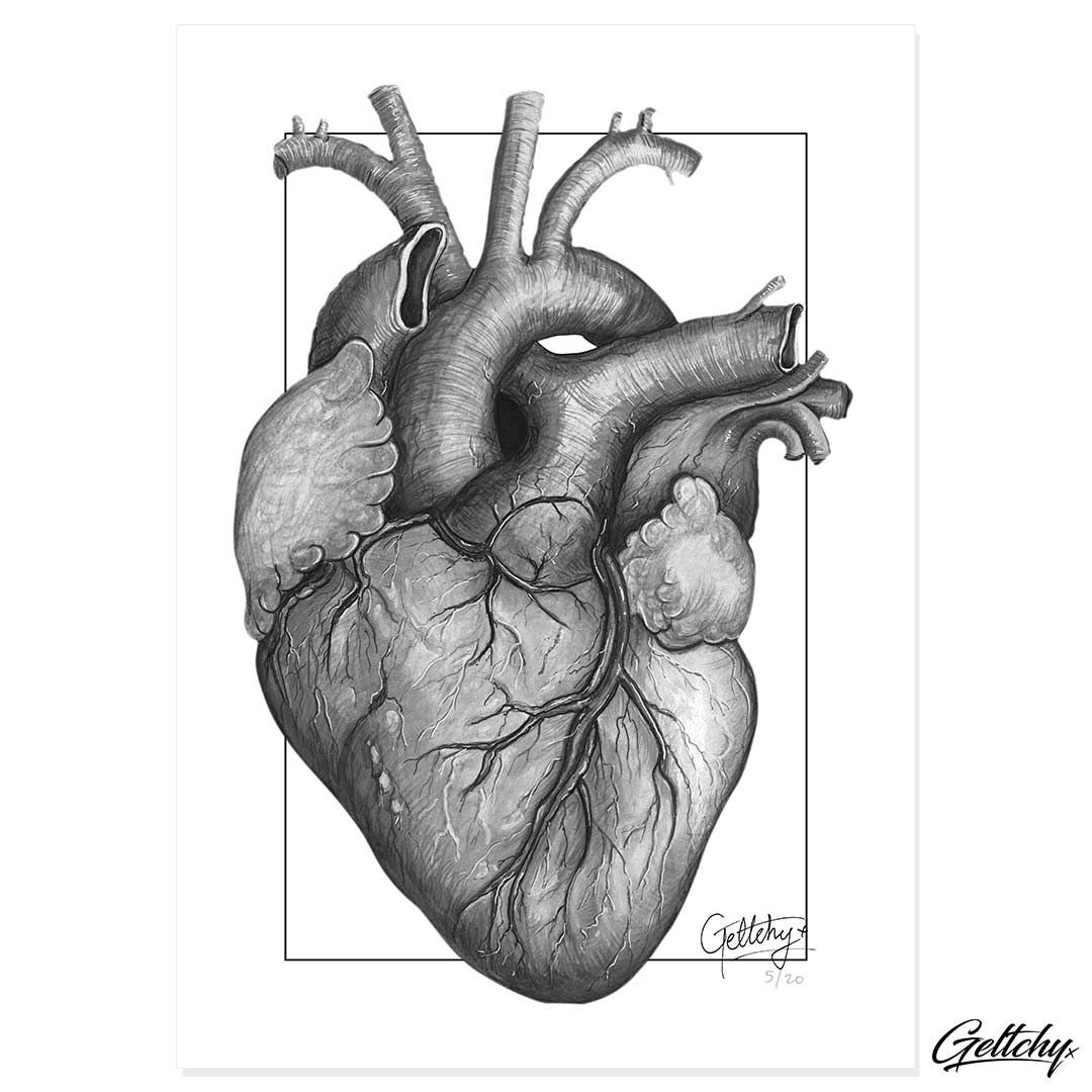 Geltchy | SWEETHEART Flash Tattoo Anatomical Heart Illustration Fine Art Prints For Sale
